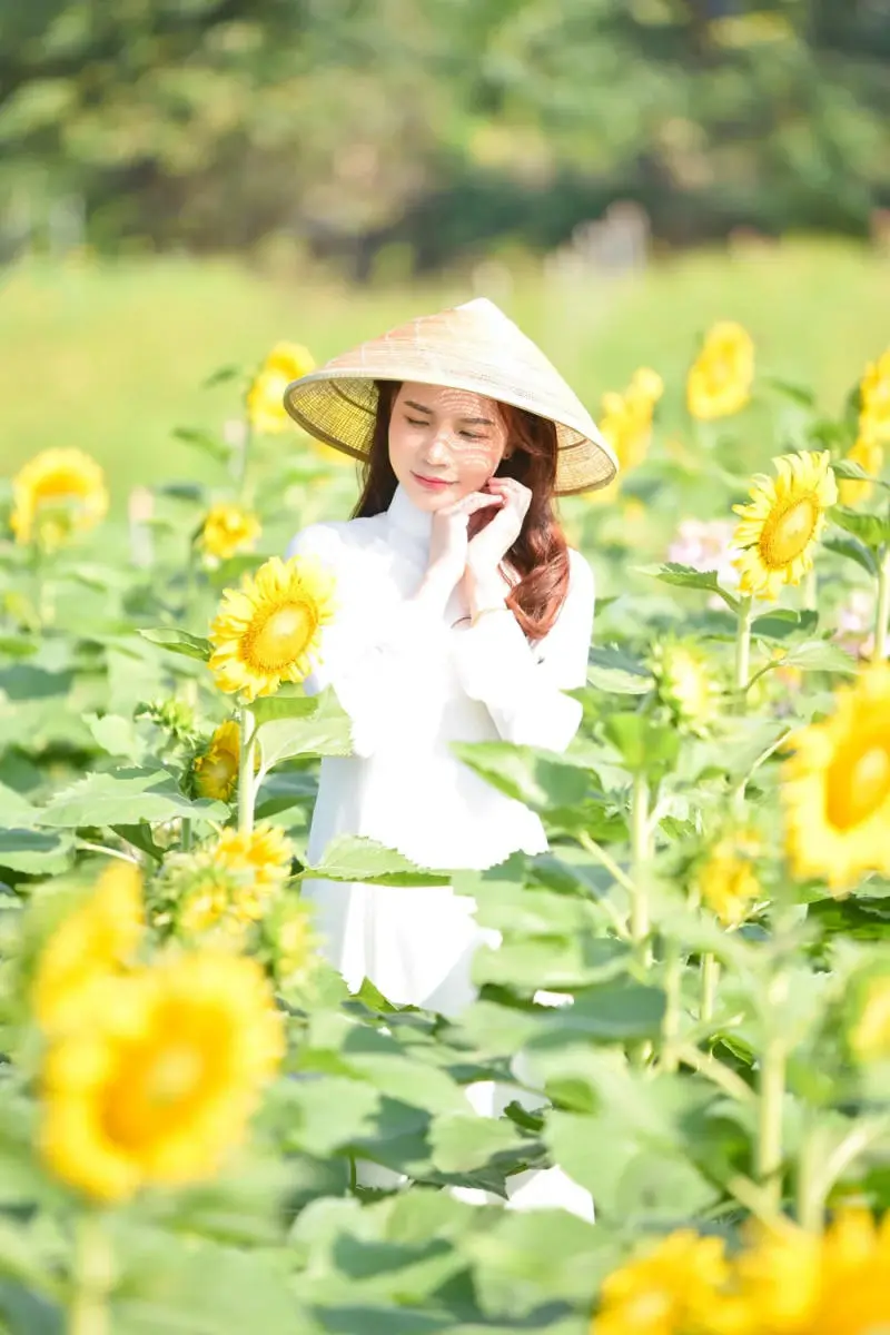 Mê mẩn trước Đầm sen Tam Đa đẹp ngỡ ngàng như Đồng Tháp Mười 7