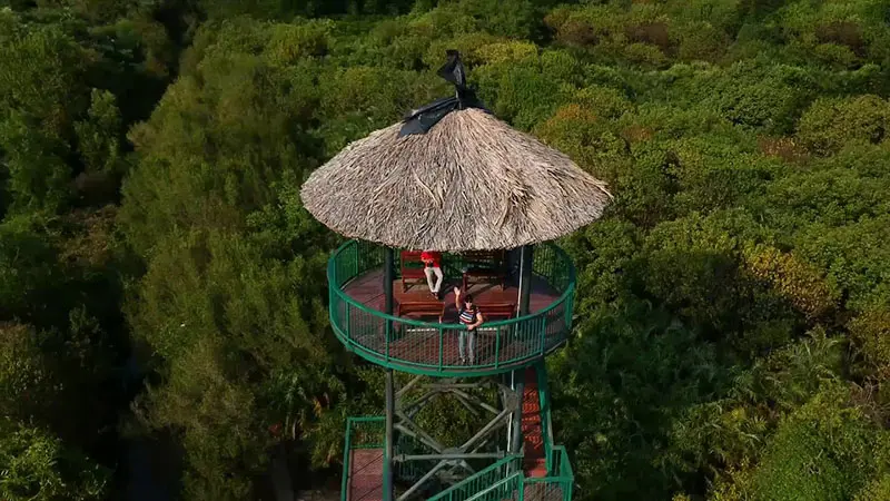 Một ng&agrave;y tại khu du lịch sinh th&aacute;i Dần X&acirc;y c&oacute; g&igrave; th&uacute; vị? 5