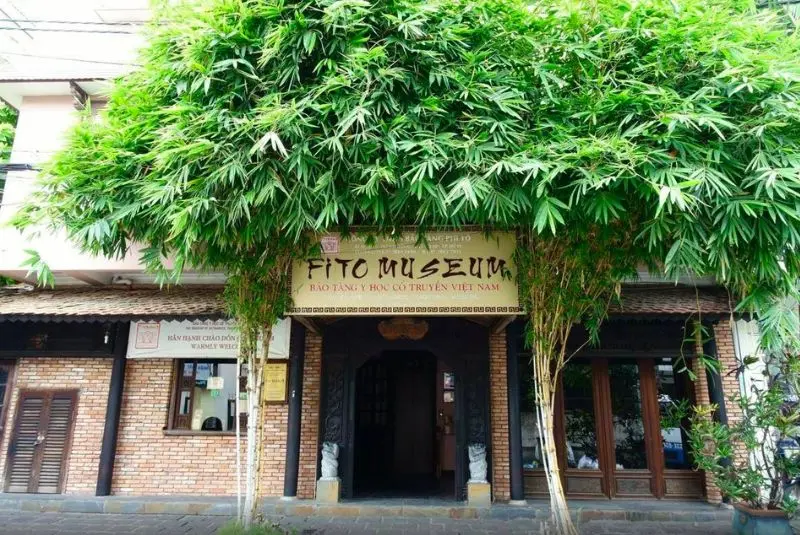 Tham quan bảo t&agrave;ng Y học cổ truyền Việt Nam giữa l&ograve;ng S&agrave;i G&ograve;n 2