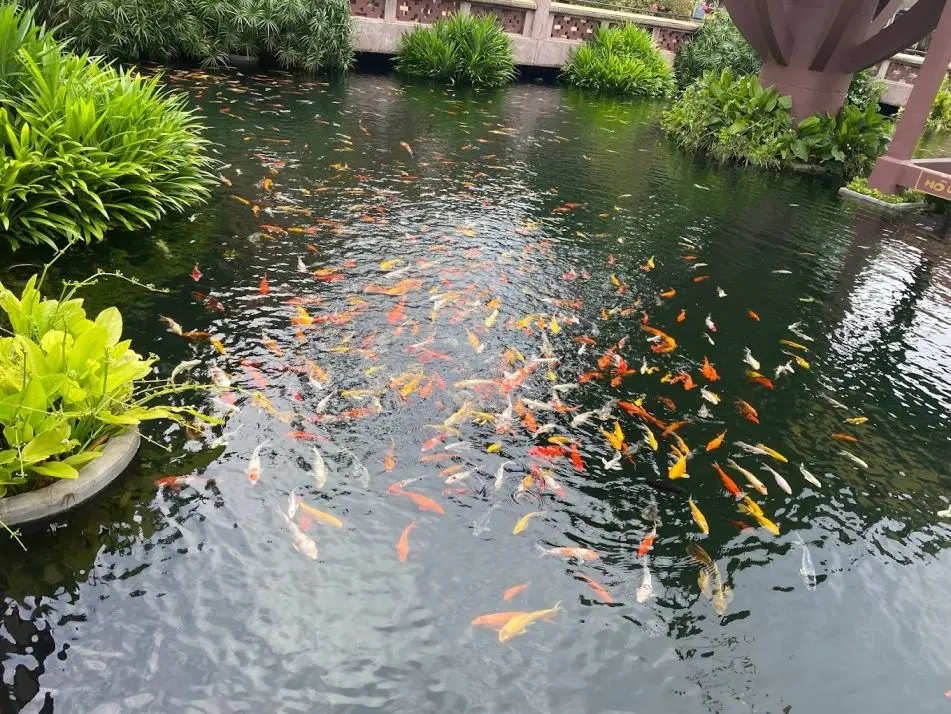 Tham quan ng&ocirc;i Ch&ugrave;a Một Cột Thủ Đức Nam Thi&ecirc;n Nhất Trụ 4