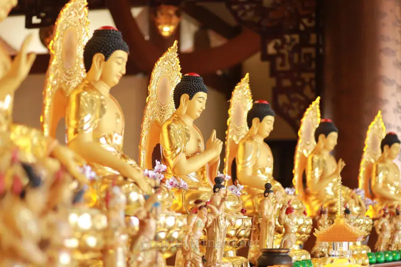 T&igrave;m sự b&igrave;nh y&ecirc;n tại Ch&ugrave;a Huệ Nghi&ecirc;m l&acirc;u đời bậc nhất S&agrave;i G&ograve;n 9