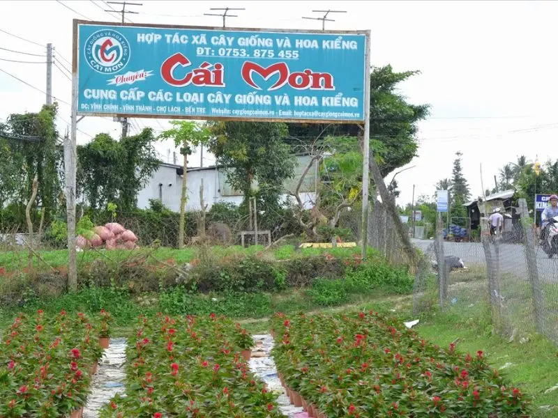 Top 7 vườn tr&aacute;i c&acirc;y gần S&agrave;i G&ograve;n - Thơm ngon, bổ, rẻ kh&ocirc;ng n&ecirc;n bỏ lỡ 6