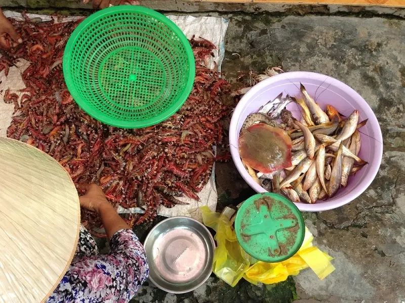 X&atilde; đảo Thạnh An xanh ngắt trước biển xanh hiền h&ograve;a 14