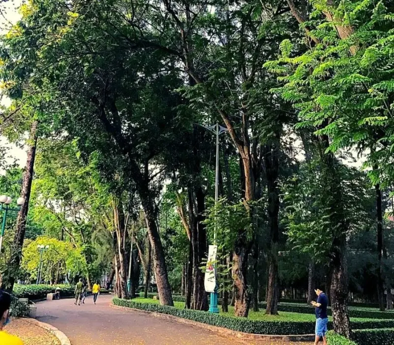 Dạo chơi Công viên Phú Lâm Quận 6: Khoảng xanh mát lành phía Tây Sài Gòn