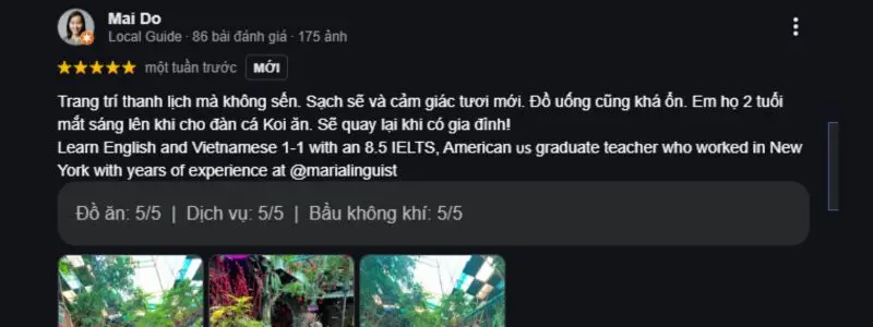 Kh&aacute;m ph&aacute; Oasis Cafe: Một g&oacute;c thi&ecirc;n nhi&ecirc;n giữa l&ograve;ng th&agrave;nh phố 8