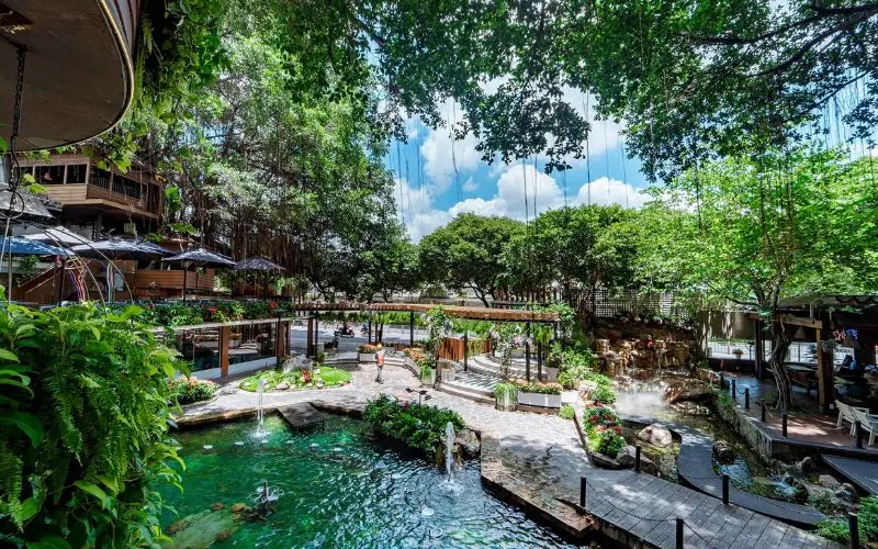 Qu&aacute;n Du Mi&ecirc;n Garden Cafe: Khu vườn xanh m&aacute;t giữa S&agrave;i Th&agrave;nh 2