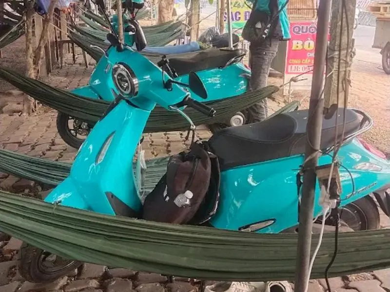 Top 10 qu&aacute;n c&agrave; ph&ecirc; v&otilde;ng TPHCM c&oacute; kh&ocirc;ng gian m&aacute;t mẻ, y&ecirc;n tĩnh 3