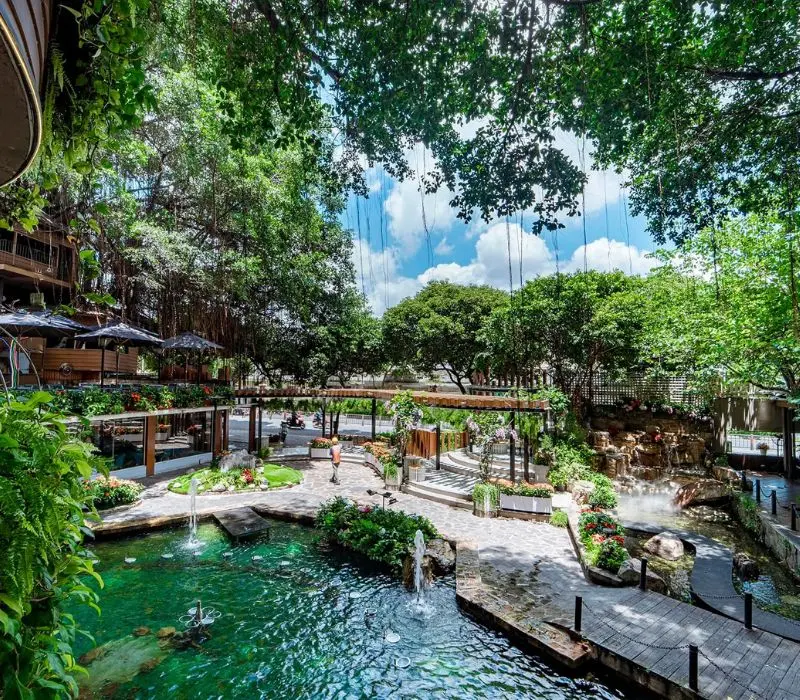 Quán Du Miên Garden Cafe: Khu vườn xanh mát giữa Sài Thành