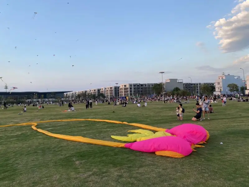 B&atilde;i thả diều City Park, tận hưởng những chiều lộng gi&oacute; tại Tp. Thủ Đức 12