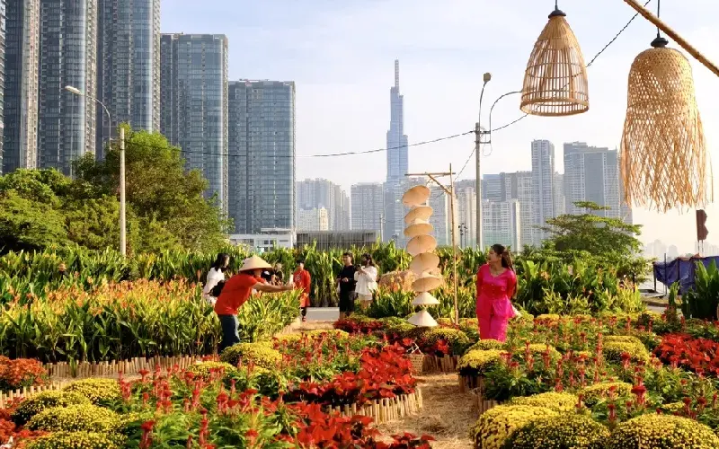 Check-in nhanh 3 vườn hoa tết đẹp, miễn ph&iacute; tại TPHCM 13