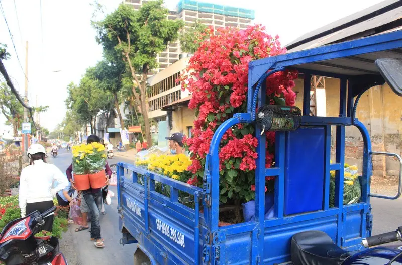 Chợ hoa Bến B&igrave;nh Đ&ocirc;ng nhộn nhịp dịp cận Tết Ất Tỵ 2025 6