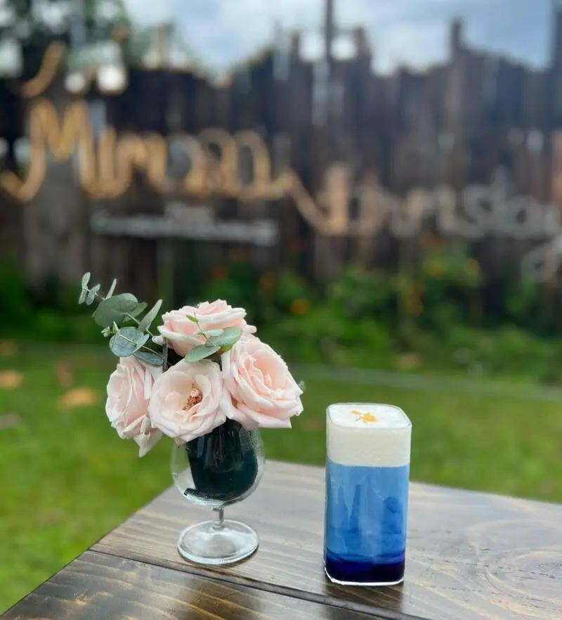 C&oacute; một Mimosa Farmstay y&ecirc;n b&igrave;nh nơi ngoại &ocirc; th&agrave;nh phố 5