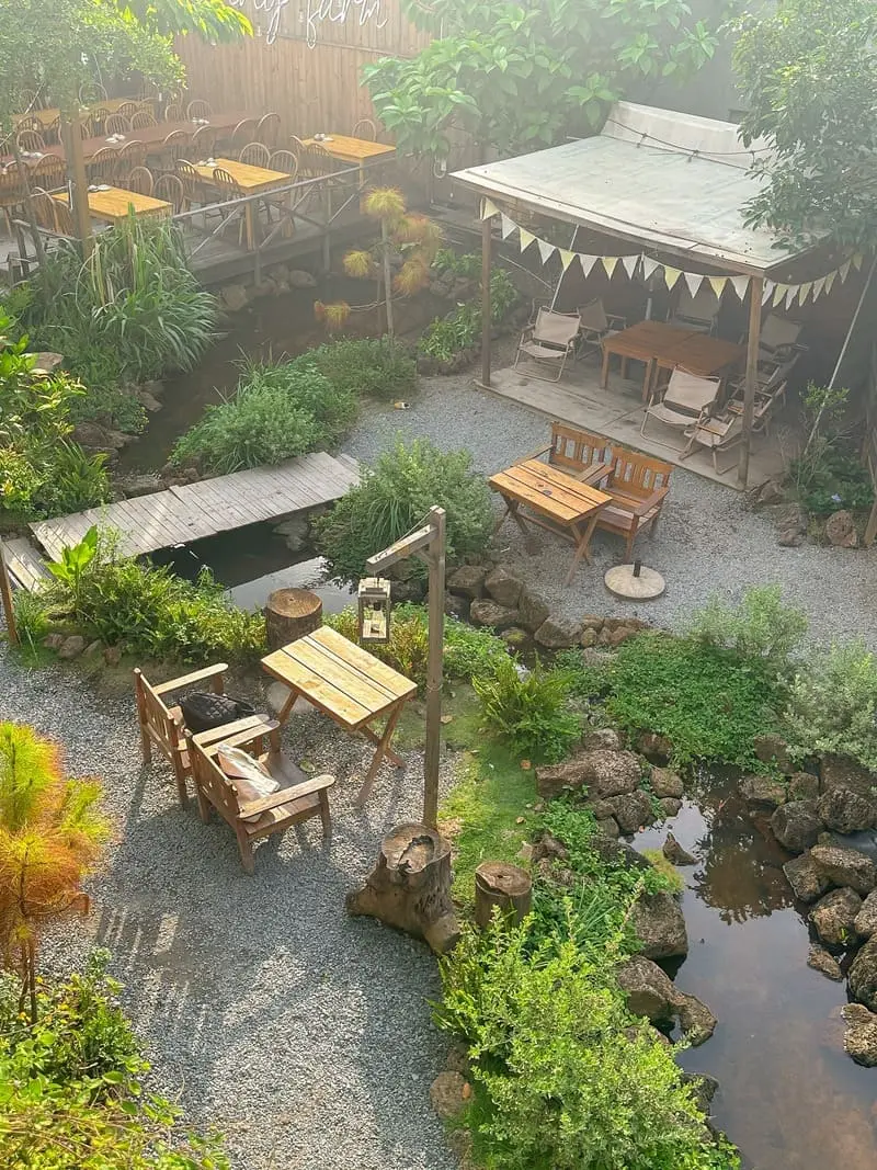Kh&aacute;m ph&aacute; Sunny Farm, n&ocirc;ng trại xanh mướt giữa l&ograve;ng th&agrave;nh phố 3