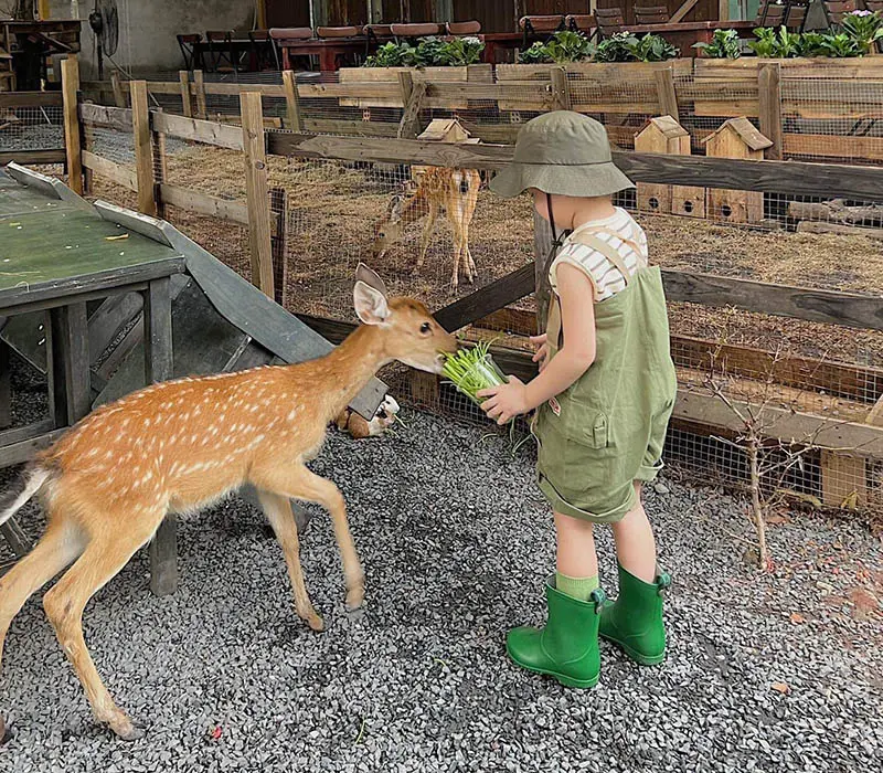 Kh&aacute;m ph&aacute; Sunny Farm, n&ocirc;ng trại xanh mướt giữa l&ograve;ng th&agrave;nh phố 14