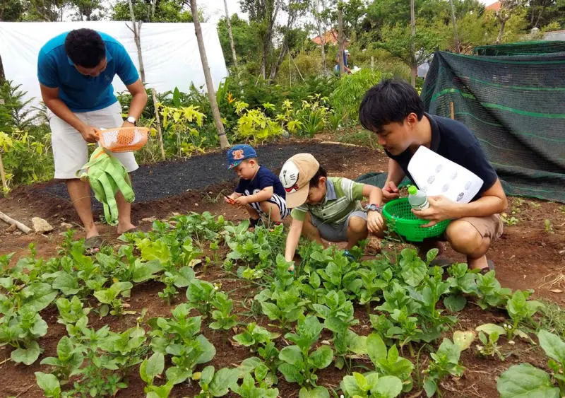 Khu thương mại xanh Family Garden độc đ&aacute;o giữa l&ograve;ng S&agrave;i G&ograve;n 5