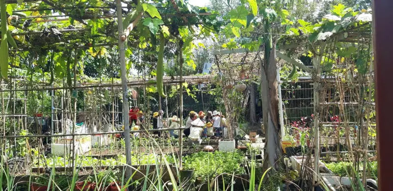 Khu thương mại xanh Family Garden độc đ&aacute;o giữa l&ograve;ng S&agrave;i G&ograve;n 9
