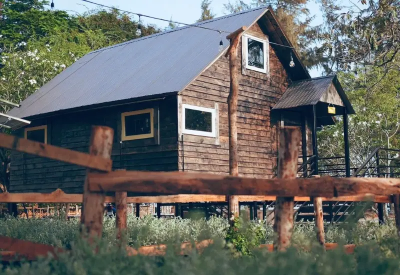 Lata camping: Địa điểm d&atilde; ngoại đẹp nhất tại Cần Giờ 11