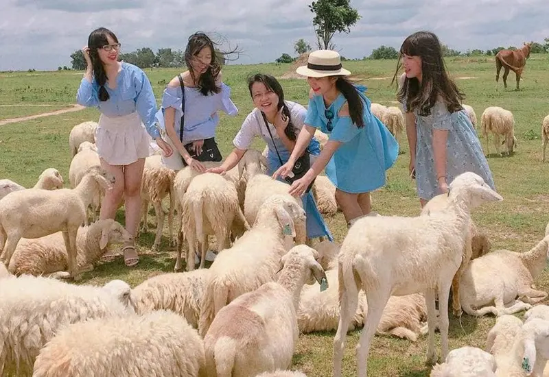 Lưu ngay 13 điểm du lịch Tết gần S&agrave;i G&ograve;n th&uacute; vị, độc đ&aacute;o 3