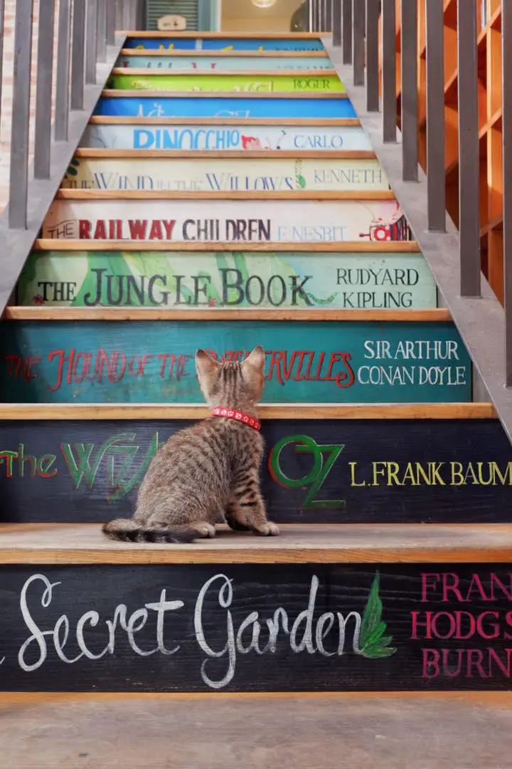 Nh&atilde; Nam Books N' Coffee, c&agrave; ph&ecirc; s&aacute;ch y&ecirc;n ả giữa l&ograve;ng S&agrave;i G&ograve;n 8
