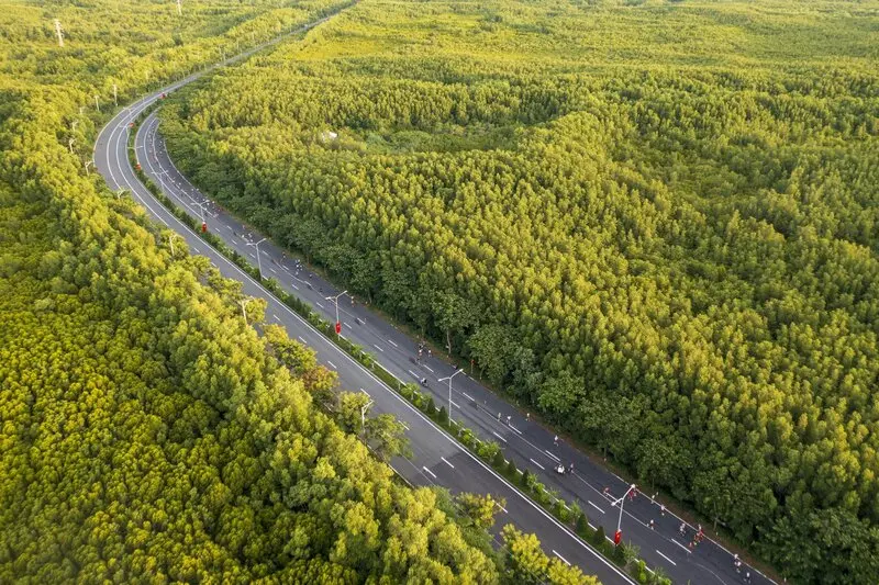 S&agrave;i G&ograve;n c&oacute; biển kh&ocirc;ng? Top 7 b&atilde;i biển đẹp nhất ở TP.HCM 8