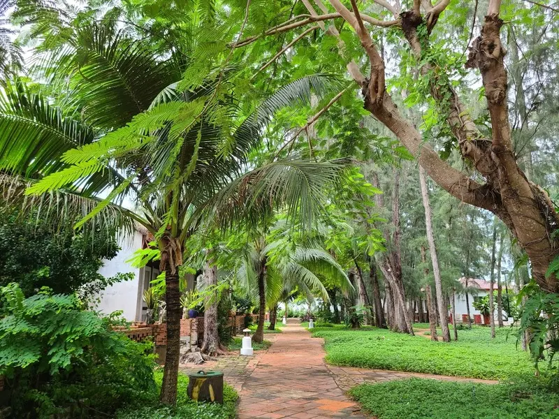 Thỏa sức nghỉ dưỡng tại Khu du lịch sinh th&aacute;i biển Phương Nam 7