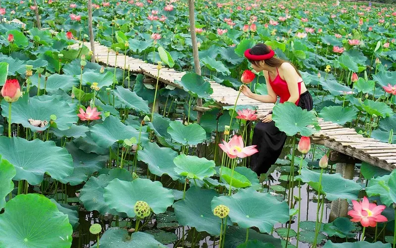 Top 13 khu du lịch sinh th&aacute;i ở TP.HCM kh&ocirc;ng gian miệt vườn xanh m&aacute;t 6