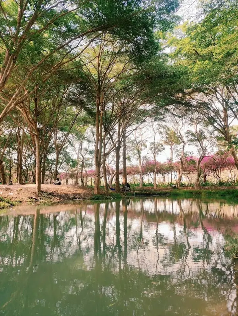Top 13 khu du lịch sinh th&aacute;i ở TP.HCM kh&ocirc;ng gian miệt vườn xanh m&aacute;t 13