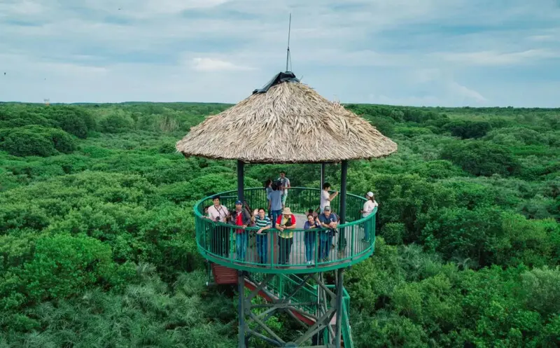 Top 13 khu du lịch sinh th&aacute;i ở TP.HCM kh&ocirc;ng gian miệt vườn xanh m&aacute;t 14
