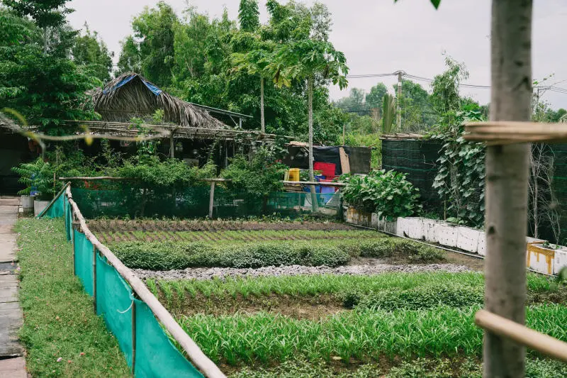 Vui qu&ecirc;n lối về ở n&ocirc;ng trại xanh 5Ku Farm giữa l&ograve;ng S&agrave;i G&ograve;n 2