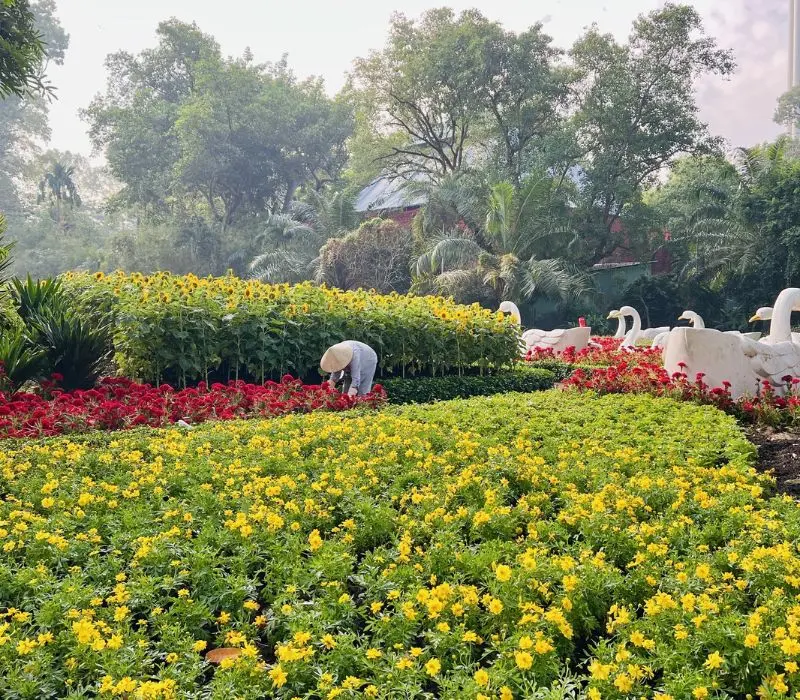 Vui xu&acirc;n thả ga tại top 20 địa điểm chơi Tết ở S&agrave;i G&ograve;n 7