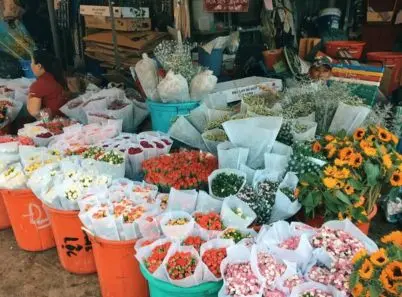 Khám phá chợ Hồ Thị Kỷ, khu chợ hoa nhộn nhịp về đêm