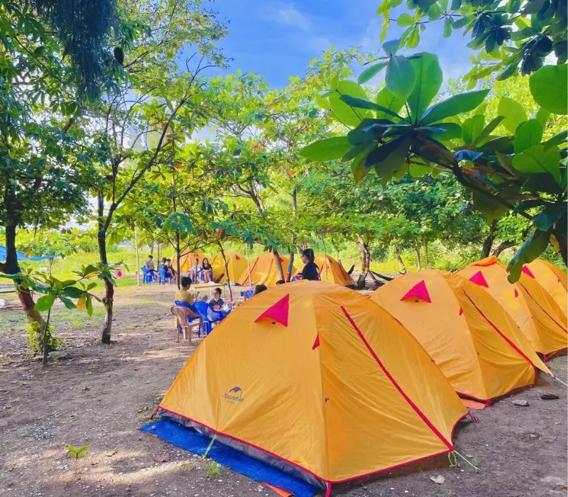 Top 6 điểm cắm trại Cần Giờ cực chill cho hội mê khám phá