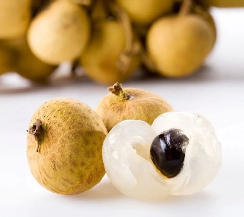 Thưởng thức hương vị Nh&atilde;n Nhị Qu&yacute; thơm ngon qu&ecirc;n lối về 5