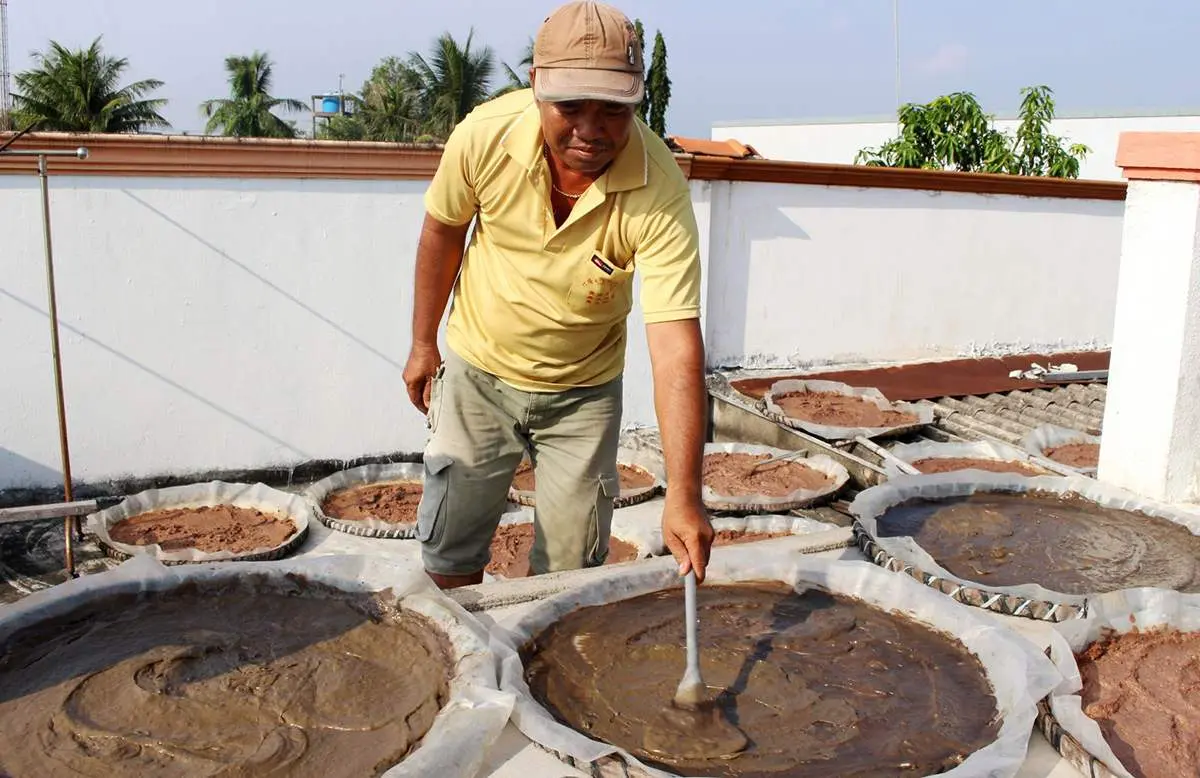 Về Tiền Giang thưởng thức đặc sản Mắm còng Gò Công 4