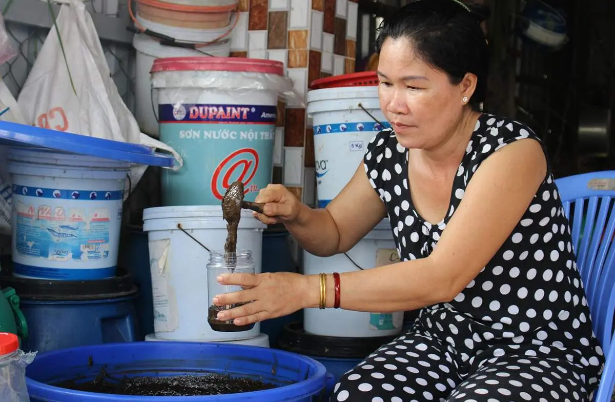 Về Tiền Giang thưởng thức đặc sản Mắm còng Gò Công 5