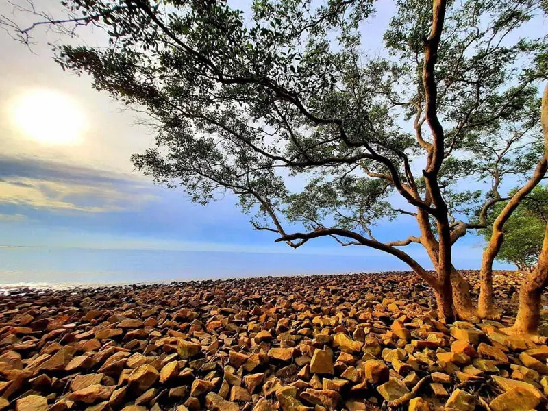Kh&aacute;m ph&aacute; biển Rạch B&ugrave;n hoang sơ v&agrave; thanh b&igrave;nh 5