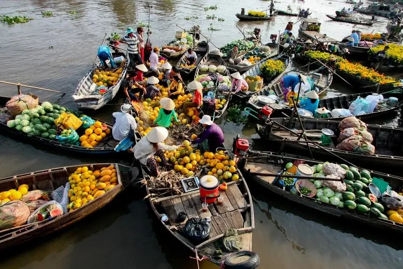 Trải nghiệm Lịch trình du lịch Tiền Giang 1 ngày, rong chơi quên lối về 2