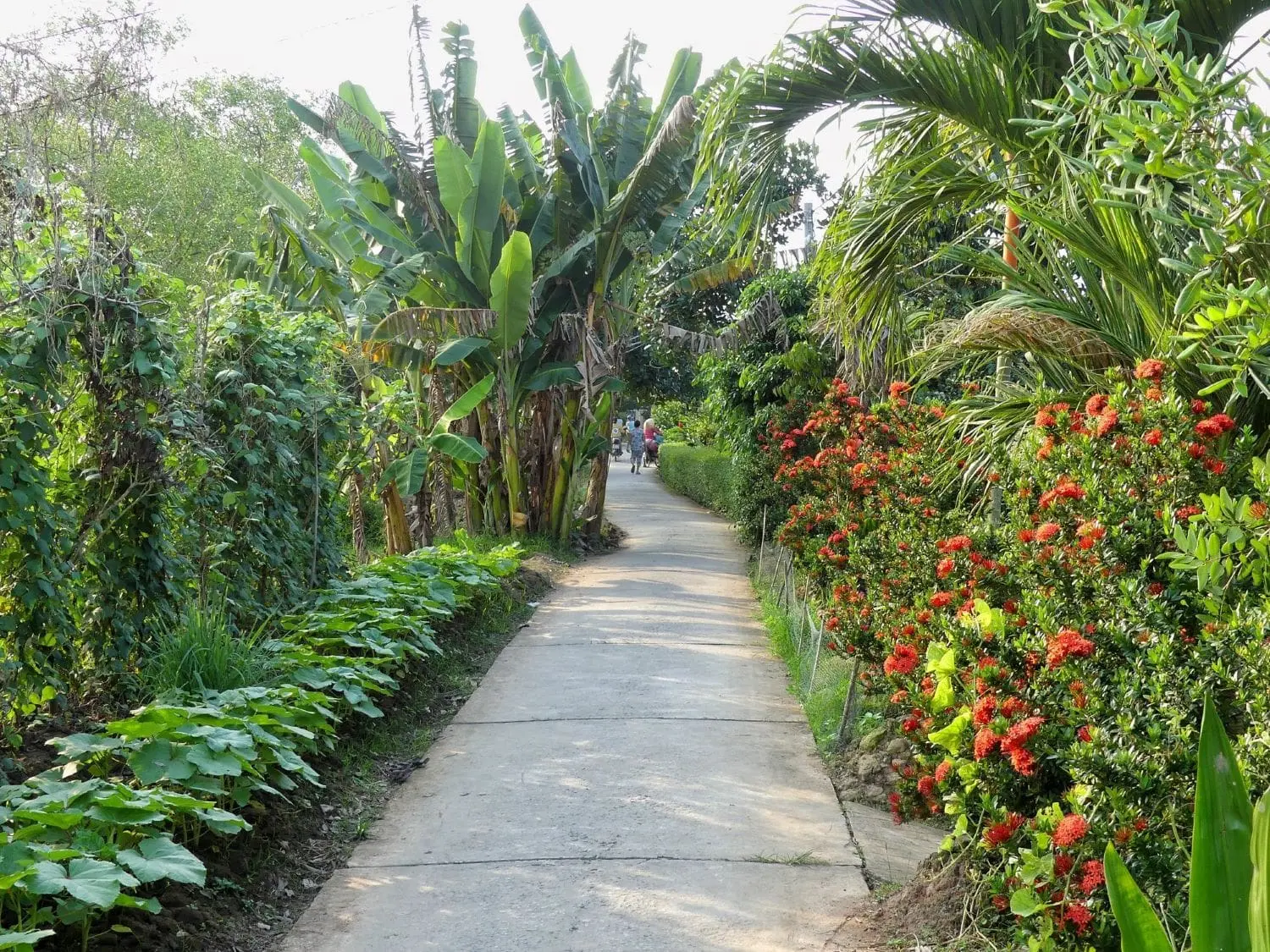Trải nghiệm Lịch trình du lịch Tiền Giang 1 ngày, rong chơi quên lối về 5