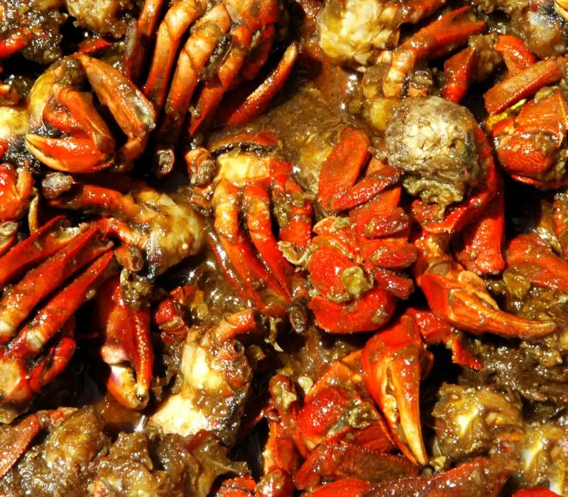 Con chù ụ: Đặc sản “cua mặt sầu” ngon nức tiếng Trà Vinh