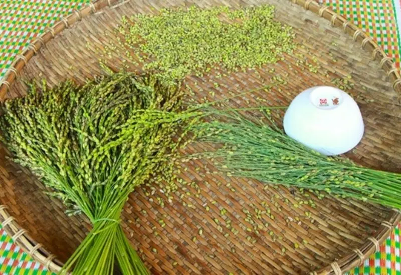 Cốm dẹp Tr&agrave; Vinh: Đặc sản nổi tiếng bao đời của người Khmer 4
