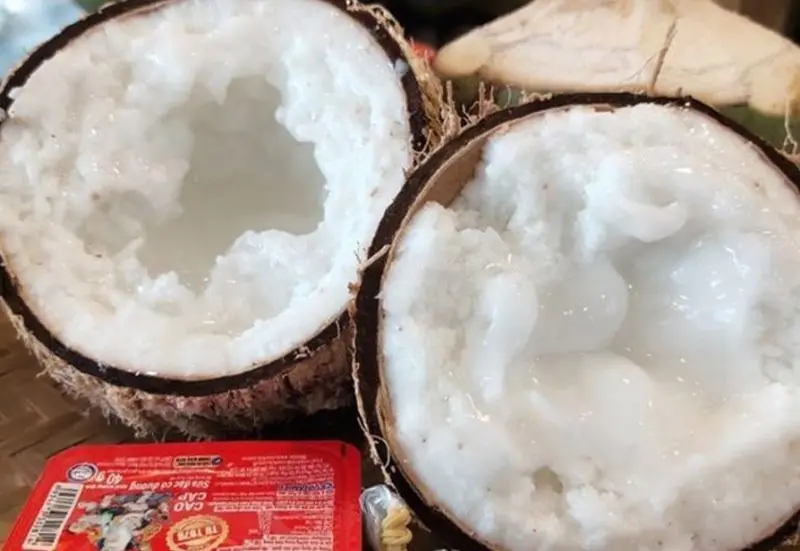 Đặc sản dừa s&aacute;p Tr&agrave; Vinh v&agrave; những c&aacute;ch chế biến chuẩn miền T&acirc;y 7