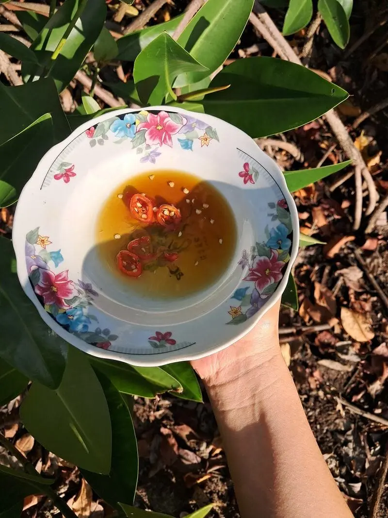 Nước mắm rươi Tr&agrave; Vinh, đặc sản g&acirc;y thương nhớ v&ugrave;ng Duy&ecirc;n Hải 2