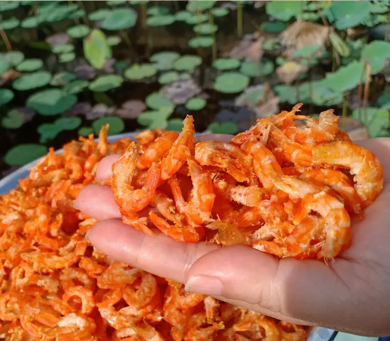 Tôm khô Vinh Kim, món ăn thơm ngon nổi tiếng của Trà Vinh 8