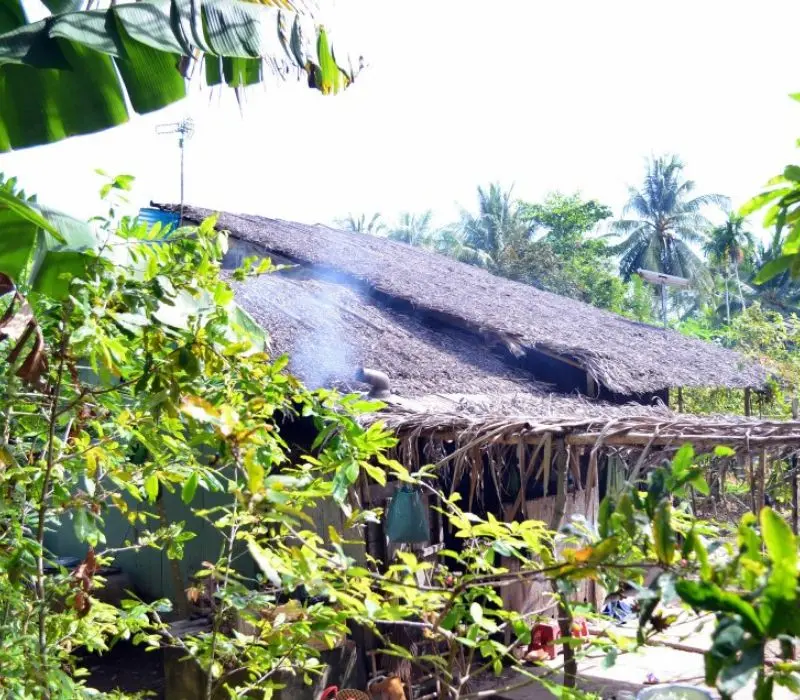 Cồn H&ocirc;: Một ng&agrave;y sống xanh, sống chậm giữa s&ocirc;ng nước 4