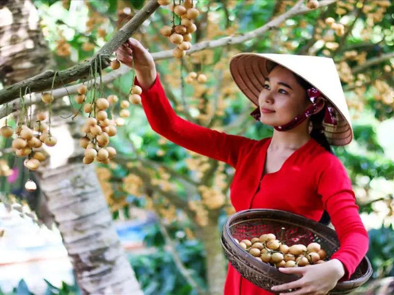 Một ng&agrave;y tại C&ugrave; lao Long Trị: Khu du lịch tại Tr&agrave; Vinh 7