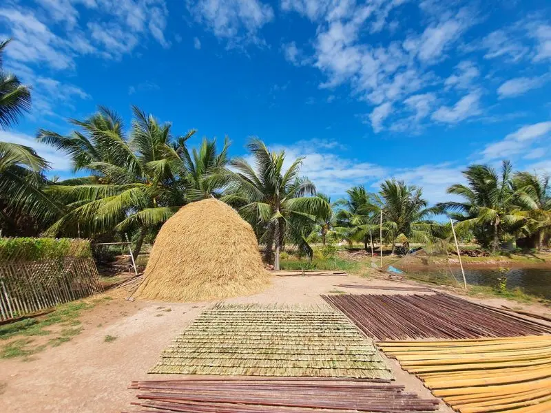 Về Cồn Chim Tr&agrave; Vinh kh&aacute;m ph&aacute; s&ocirc;ng nước miệt vườn miền T&acirc;y 5