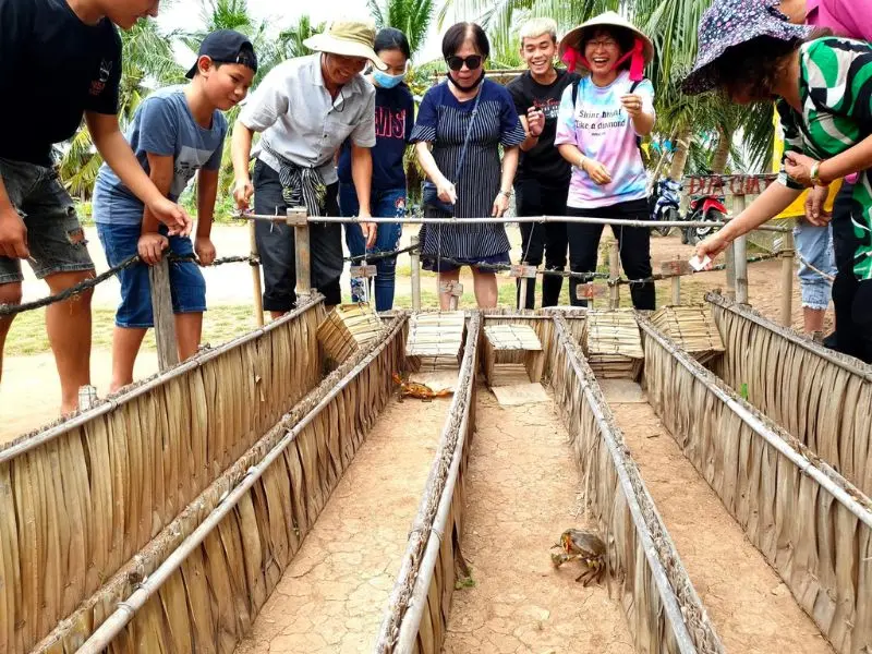 Về Cồn Chim Tr&agrave; Vinh kh&aacute;m ph&aacute; s&ocirc;ng nước miệt vườn miền T&acirc;y 7