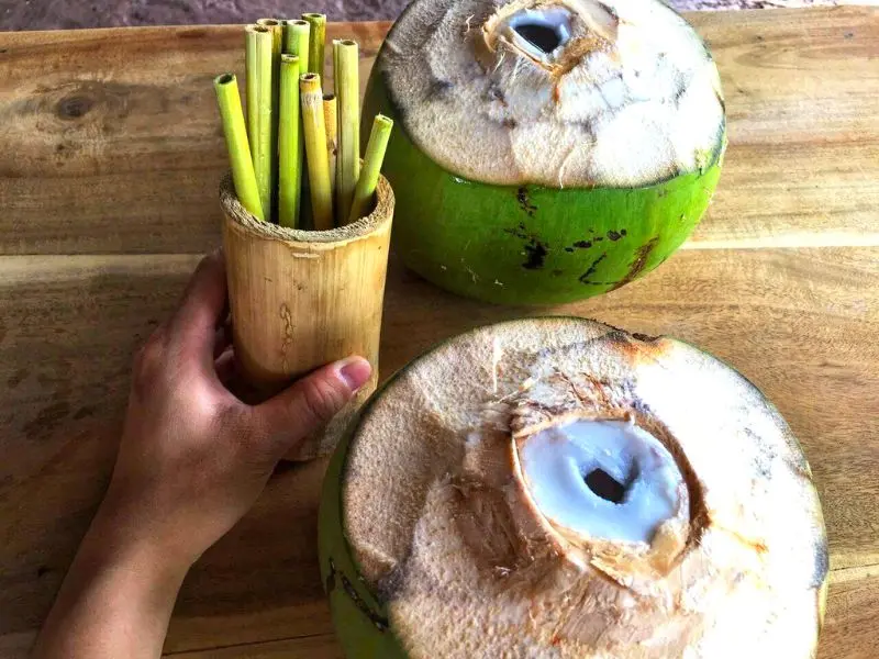 Về Cồn Chim Tr&agrave; Vinh kh&aacute;m ph&aacute; s&ocirc;ng nước miệt vườn miền T&acirc;y 9