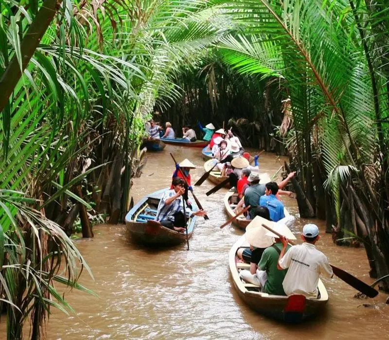 Xuôi về cù lao Tân Quy, ngắm ốc đảo xanh giữa sông Hậu 7