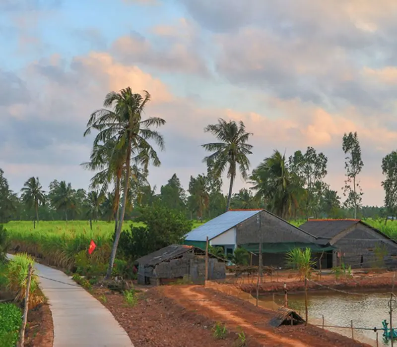 Một ngày tại Cù lao Long Trị: Khu du lịch tại Trà Vinh